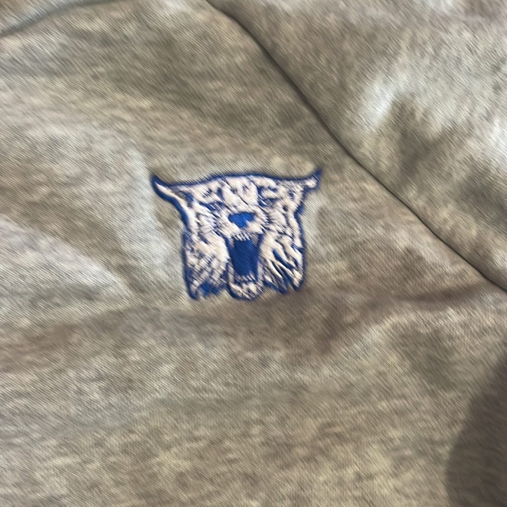 Wildcat Sweatshirt - image 2